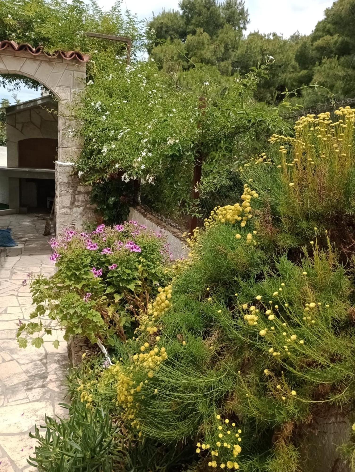فيلا Kuca Za Odmor Skalina - Sea View سبليتسكا الغرفة الصورة